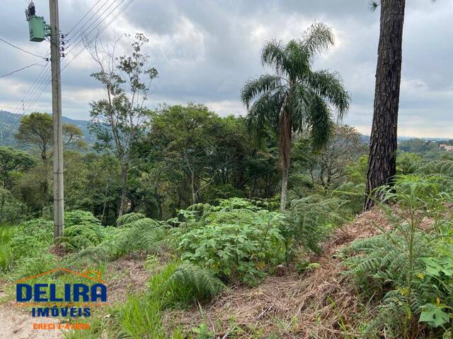 #TR132 - Terreno para Venda em Mairiporã - SP - 3