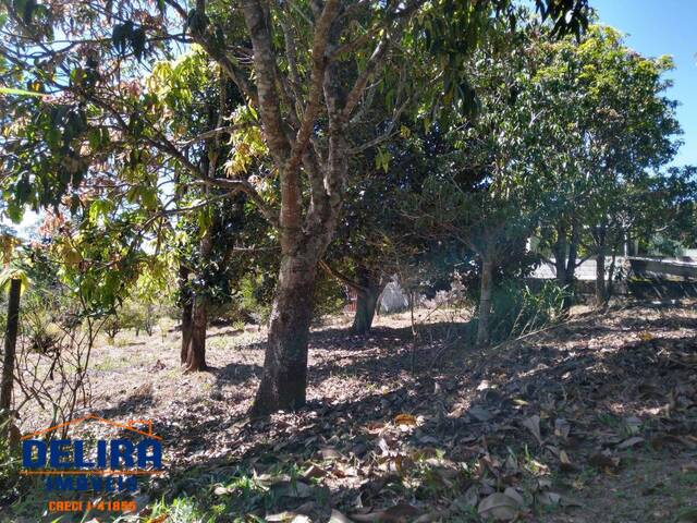 Terreno para Venda em Franco da Rocha - 4