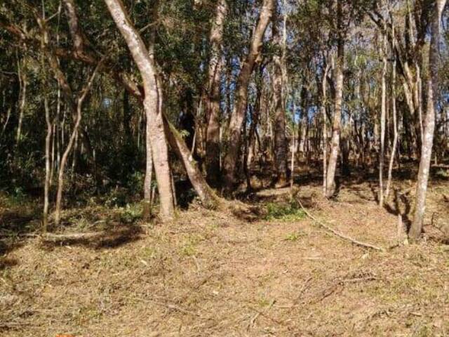 #TR84 - Terreno para Venda em Mairiporã - SP