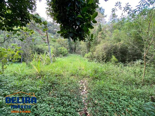 Sítio para Venda em Mairiporã - 5