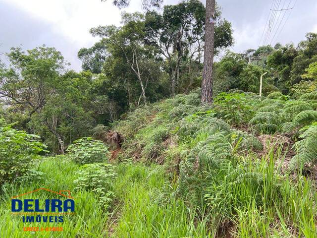 Terreno para Venda em Mairiporã - 4