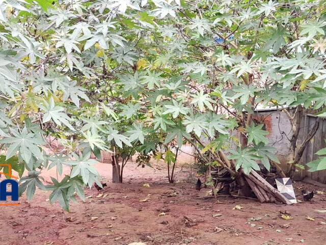 #TR141 - Terreno para Venda em Mairiporã - SP - 1