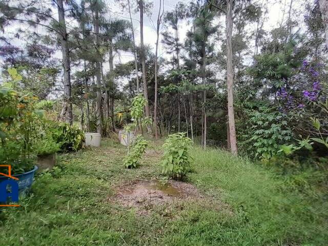 Sítio para Venda em Mairiporã - 5