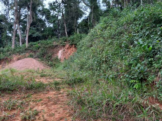 #TR144 - Terreno para Venda em Mairiporã - SP - 1