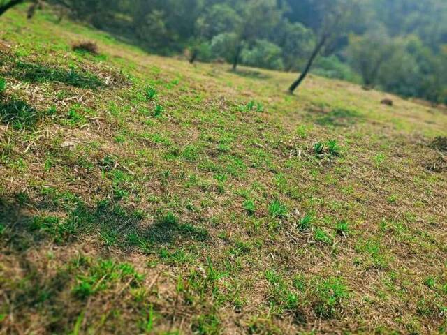 Venda em Santa Inês - Mairiporã