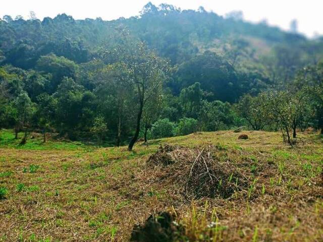Área para Venda em Mairiporã - 4