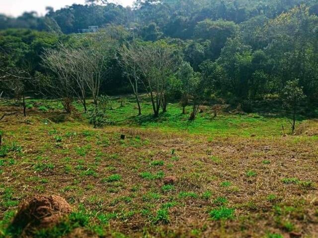 #TR173 - Área para Venda em Mairiporã - SP - 3