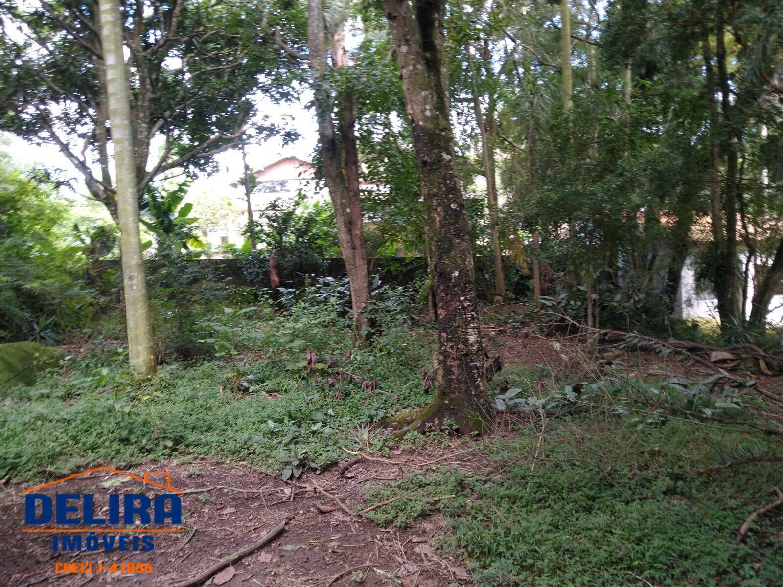 Chácara à venda com 2 quartos, 126m² - Foto 6