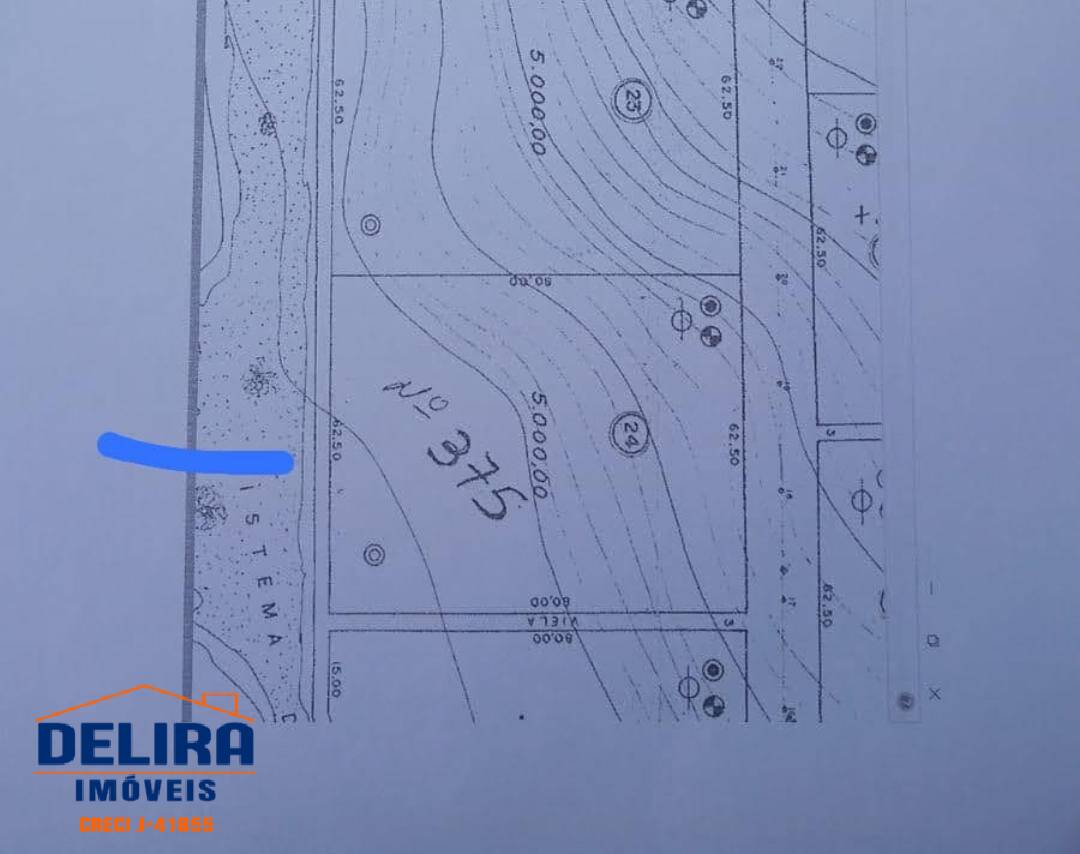 Chácara, 2 quartos, 5000 m² - Foto 11