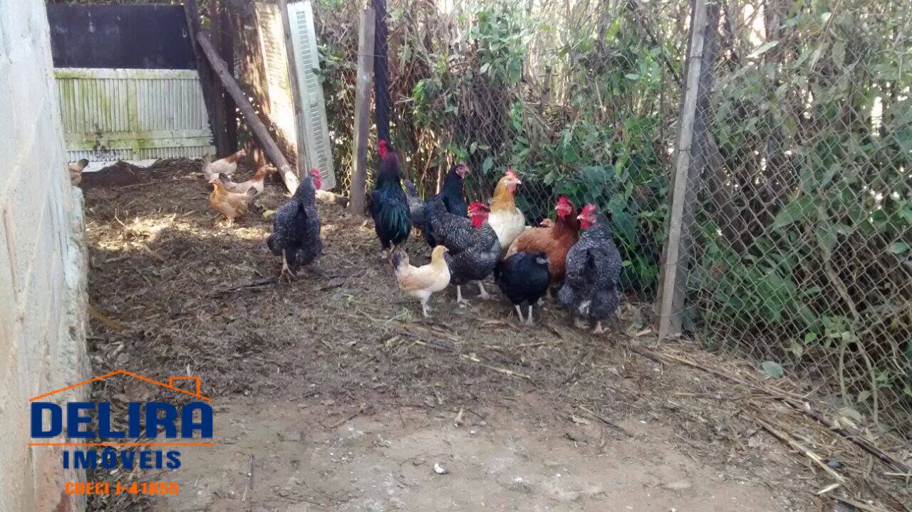 Sítio, 2 quartos, 2 hectares - Foto 16