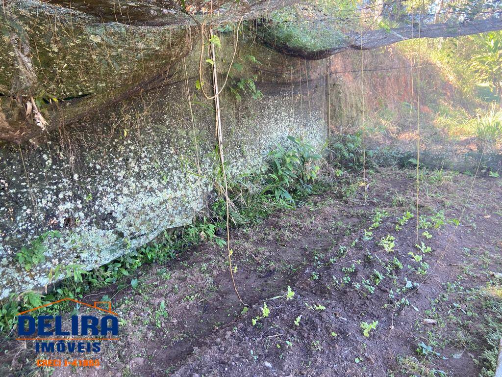 Sítio, 2 quartos, 2 hectares - Foto 30