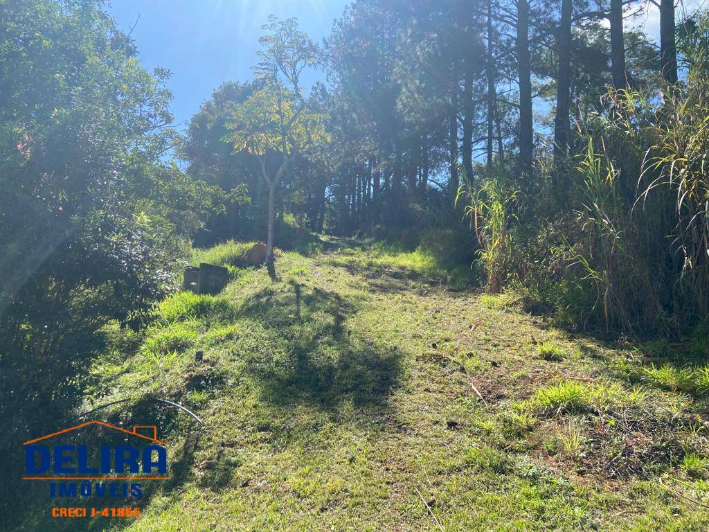 Sítio, 2 quartos, 2 hectares - Foto 31