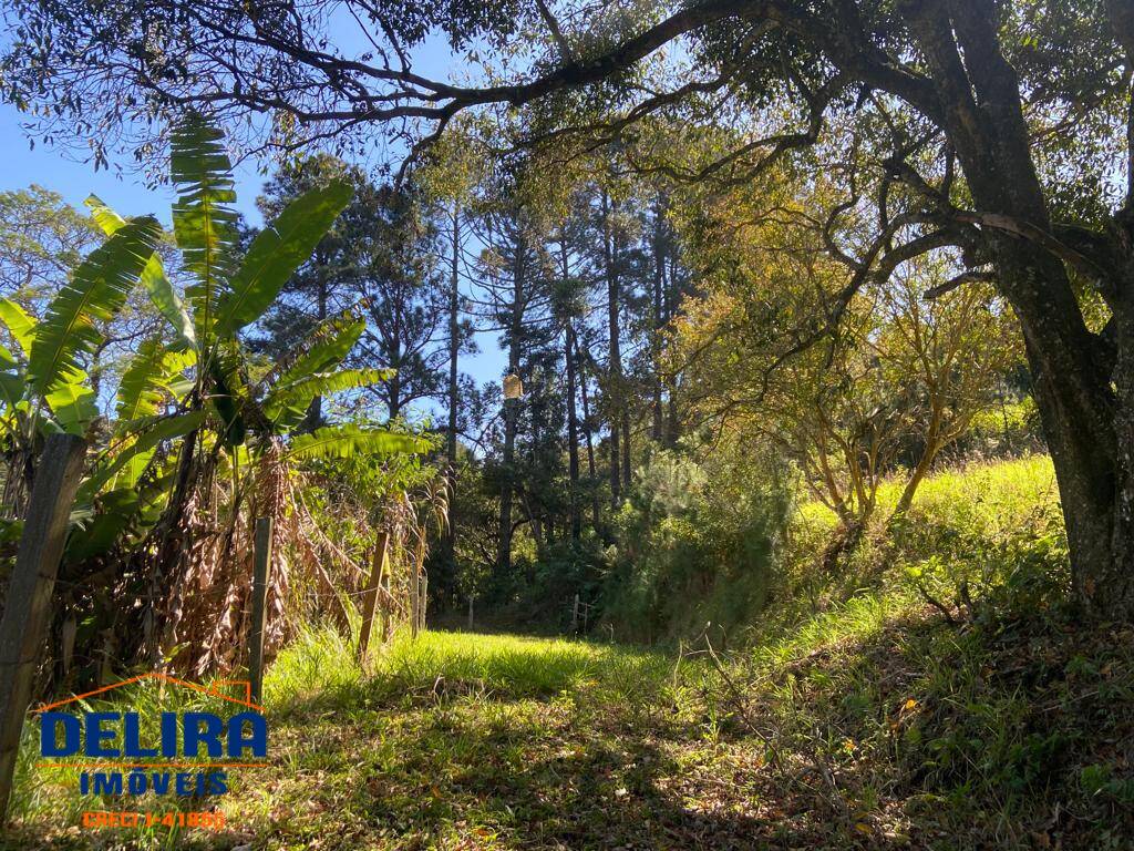 Sítio, 2 quartos, 2 hectares - Foto 32