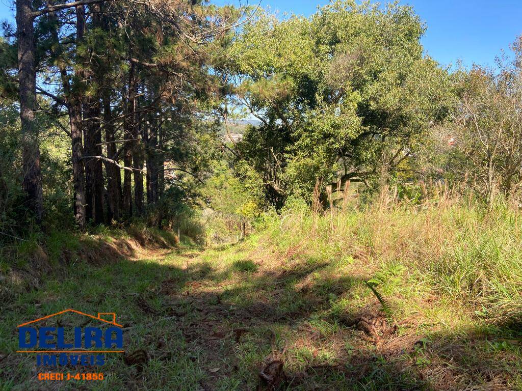 Sítio, 2 quartos, 2 hectares - Foto 33