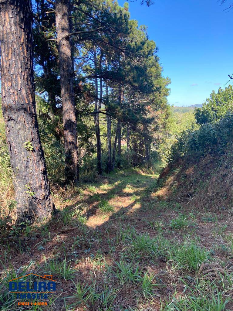 Sítio, 2 quartos, 2 hectares - Foto 35