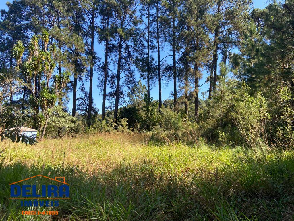 Sítio, 2 quartos, 2 hectares - Foto 38