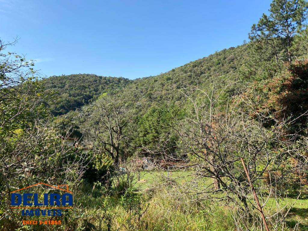 Terreno, 2 hectares - Foto 3