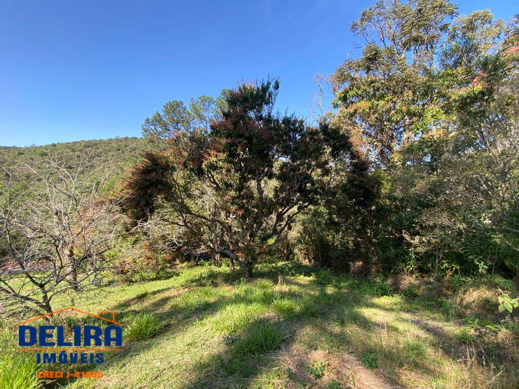 Sítio, 9 quartos, 5 hectares - Foto 33