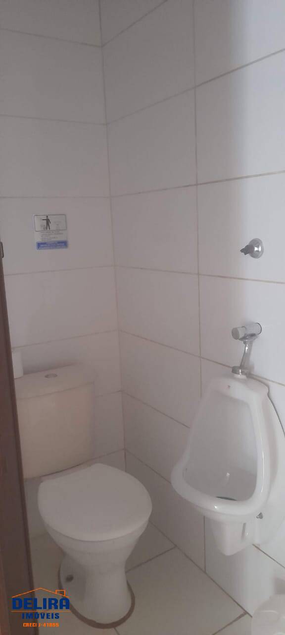 Chácara, 5 quartos, 3 hectares - Foto 35