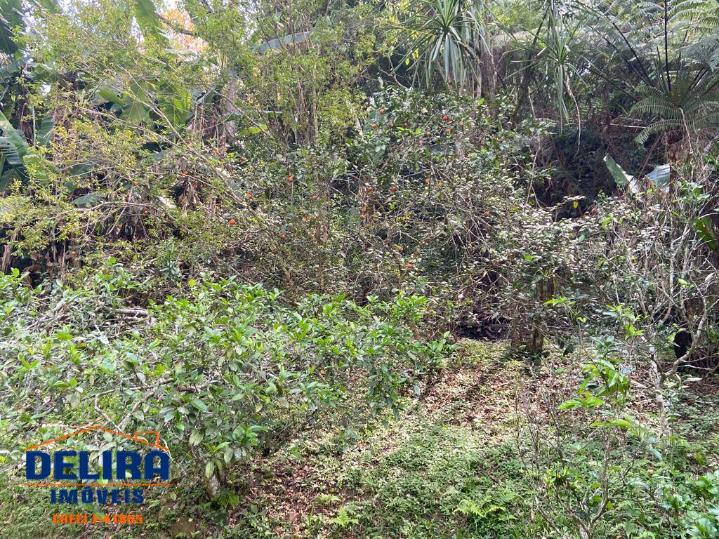 Sítio, 5 quartos, 2 hectares - Foto 20