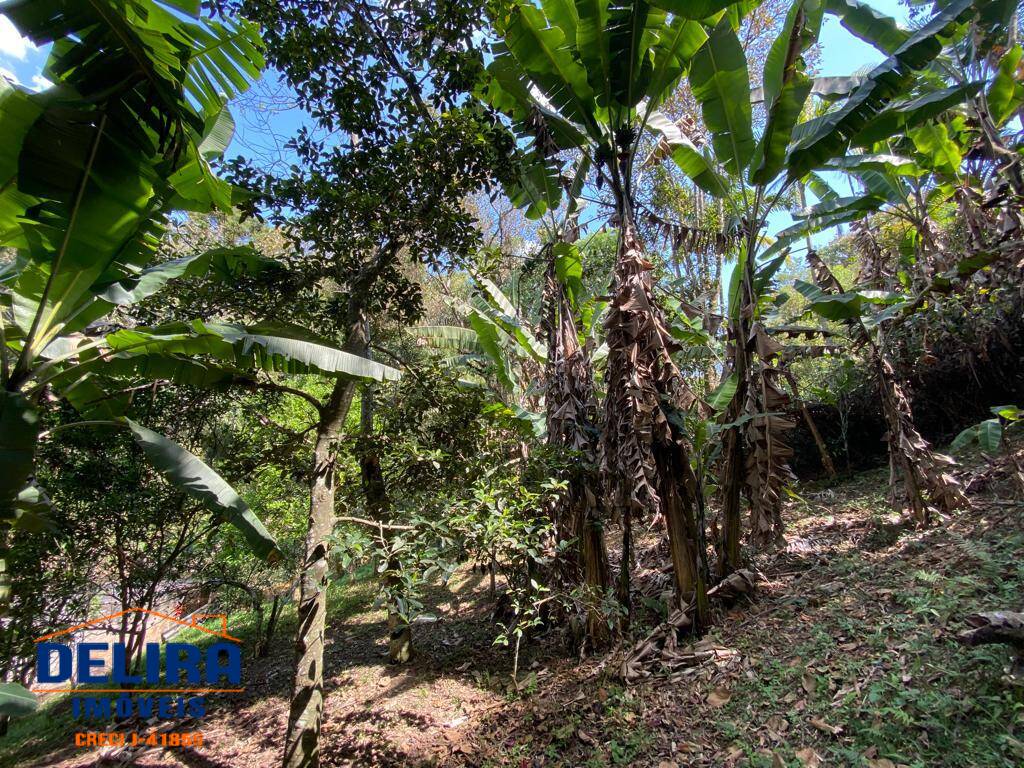 Sítio, 5 quartos, 2 hectares - Foto 22