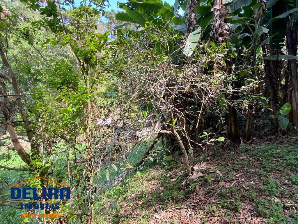 Sítio, 5 quartos, 2 hectares - Foto 24