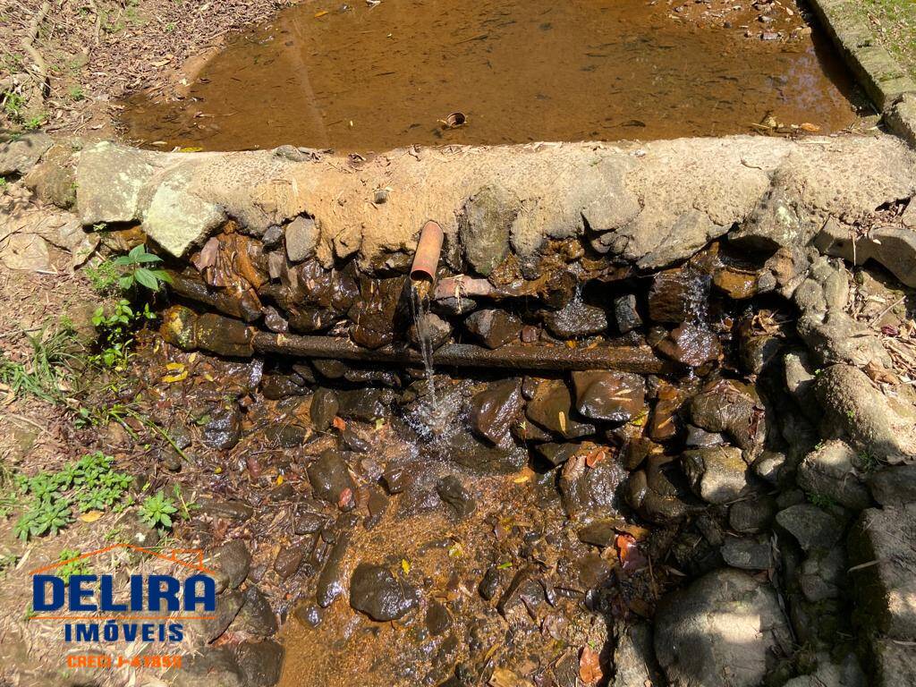 Sítio, 5 quartos, 2 hectares - Foto 49