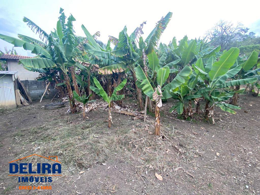 Terreno, 2011 m² - Foto 14