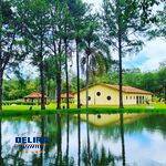 Sítio, 7 quartos, 10 hectares - Foto 7