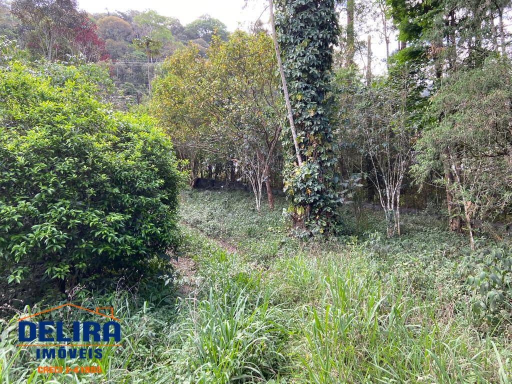 Sítio, 4 quartos, 3000 m² - Foto 40