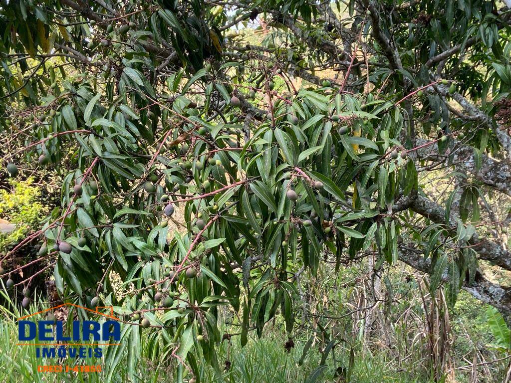 Sítio, 4 quartos, 3000 m² - Foto 28