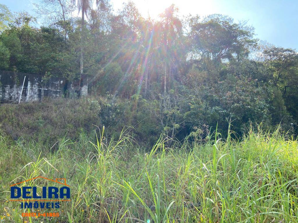 Sítio, 4 quartos, 3000 m² - Foto 36