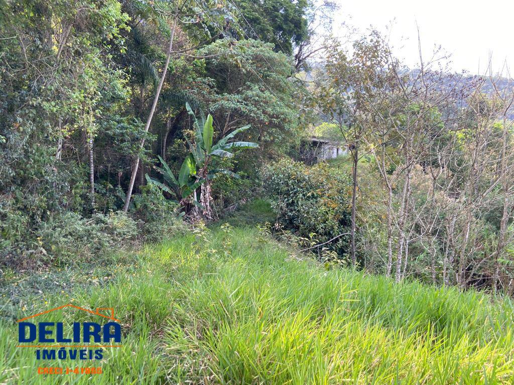 Sítio, 4 quartos, 3000 m² - Foto 35