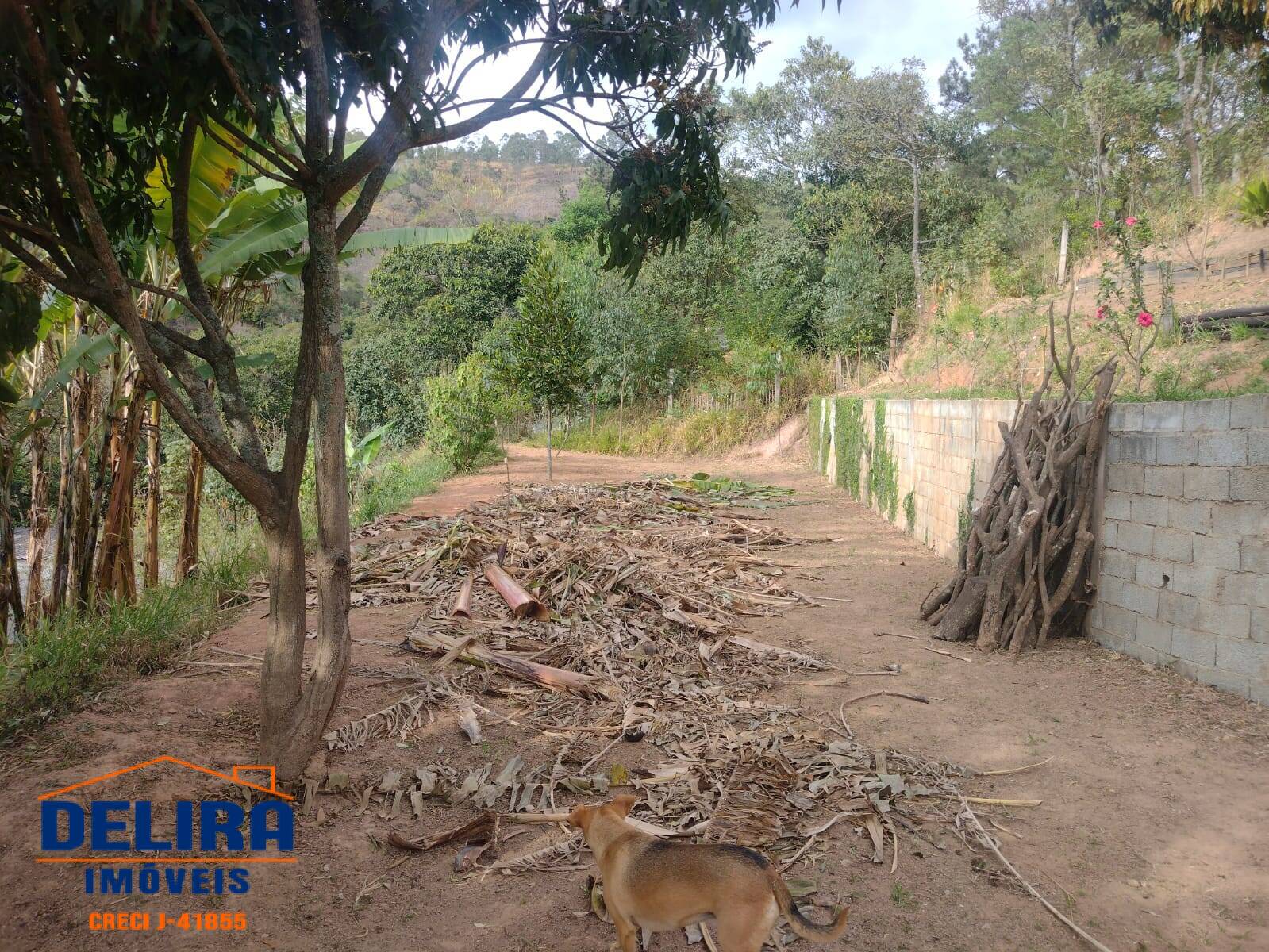 Chácara à venda com 4 quartos, 300m² - Foto 29