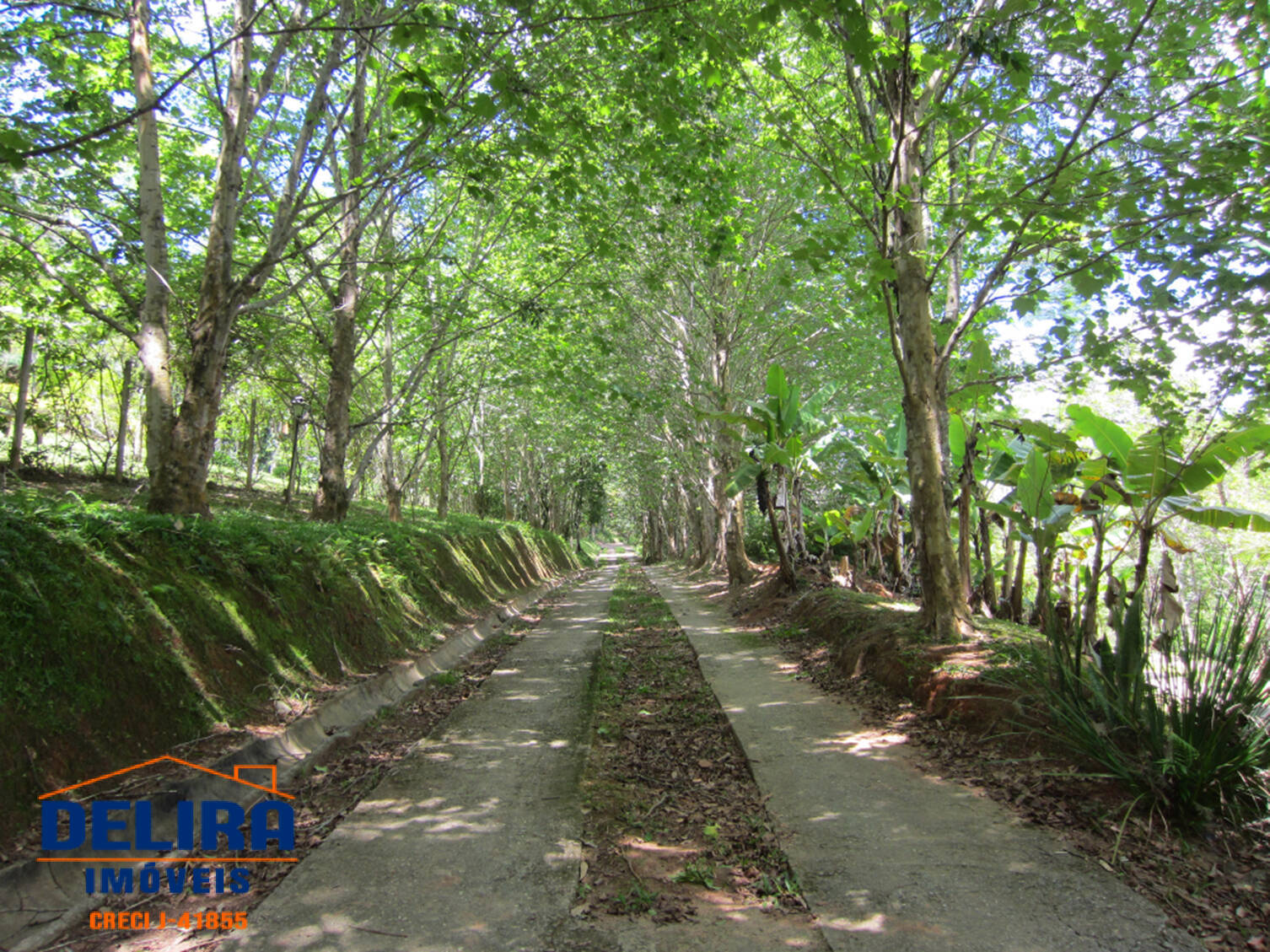 Sítio, 7 quartos, 2 hectares - Foto 21