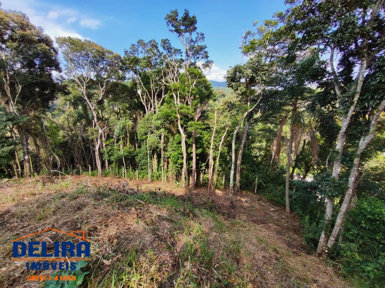 Terreno, 1200 m² - Foto 8