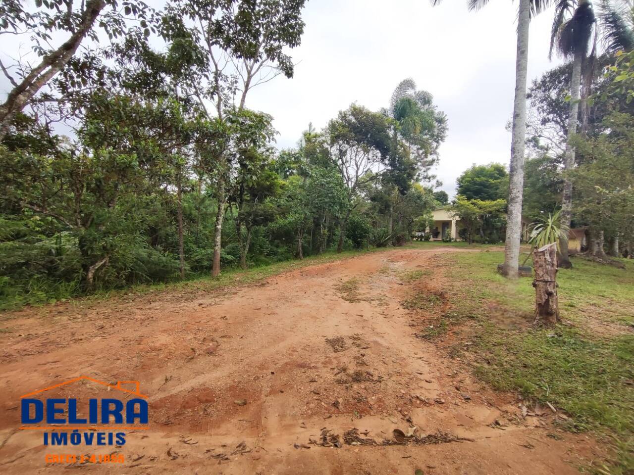 Sítio, 4 quartos, 3 hectares - Foto 6