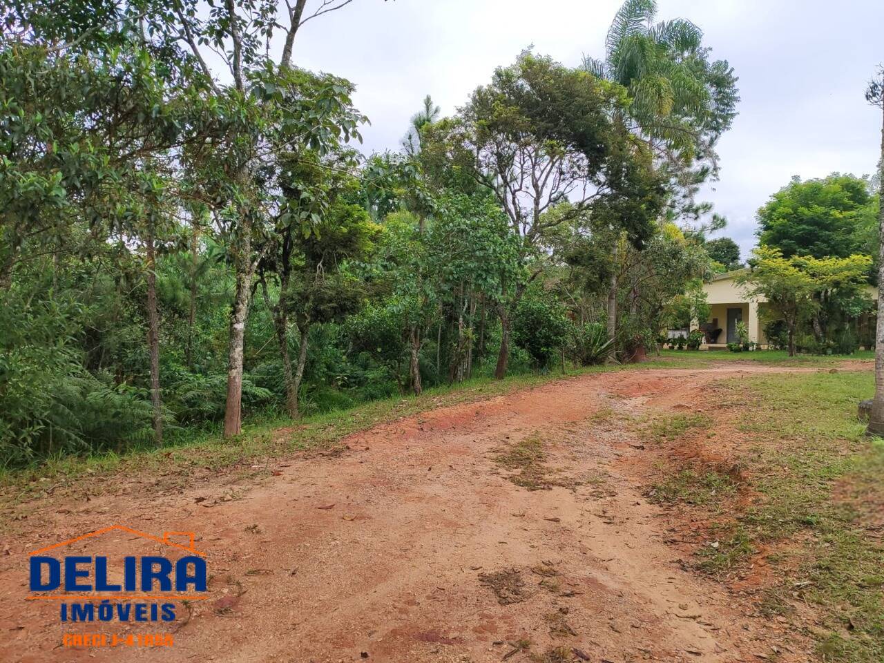Sítio, 4 quartos, 3 hectares - Foto 7