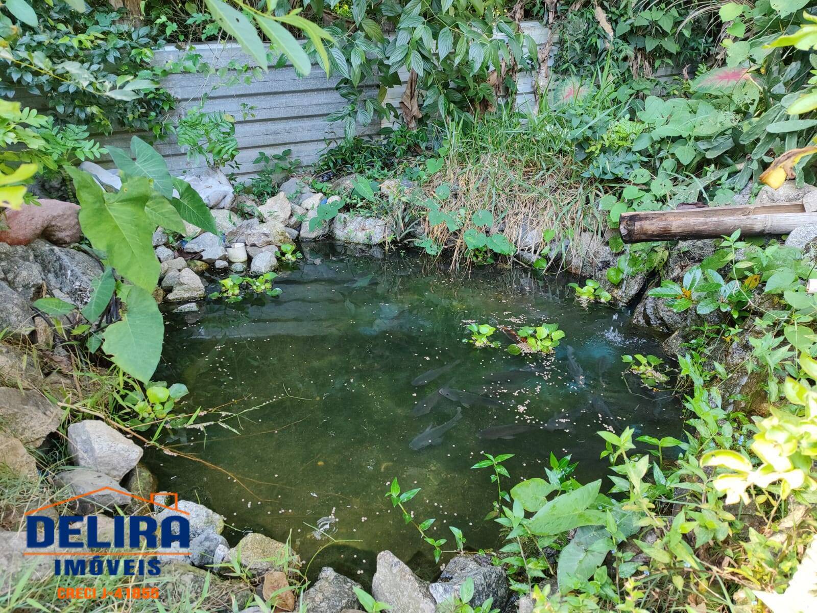 Chácara, 3 quartos, 3400 m² - Foto 20