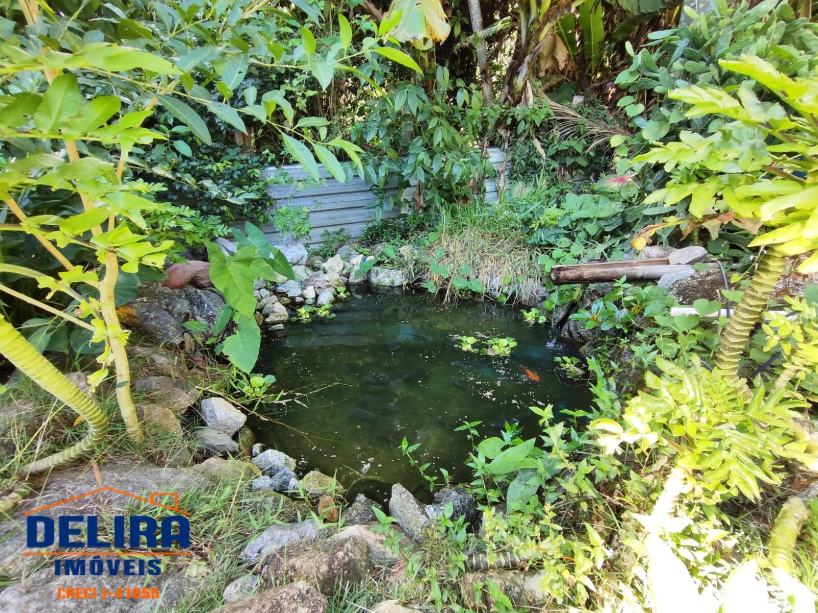 Chácara, 3 quartos, 3400 m² - Foto 21