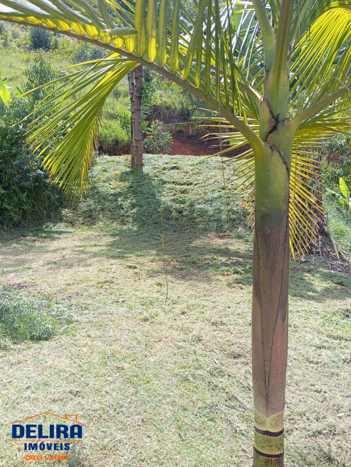 Chácara, 2 quartos, 1000 m² - Foto 6