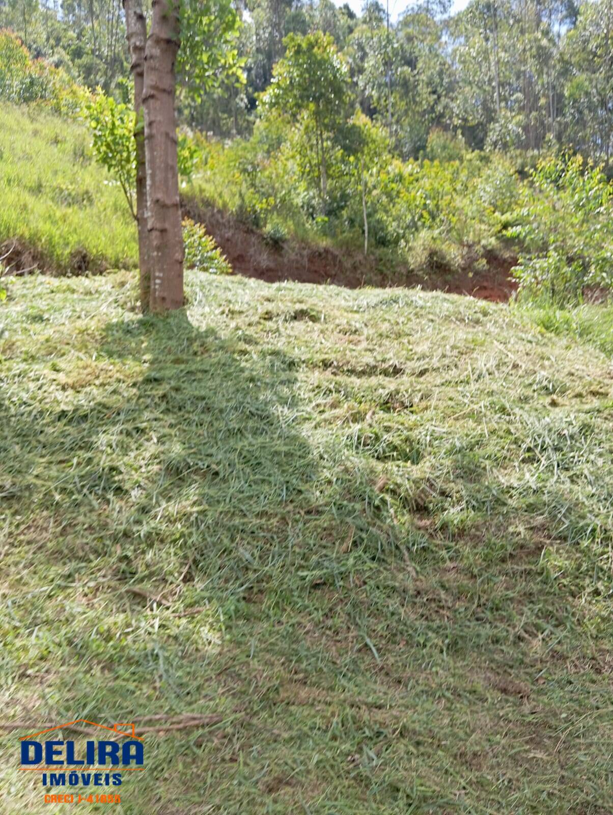 Chácara, 2 quartos, 1000 m² - Foto 8