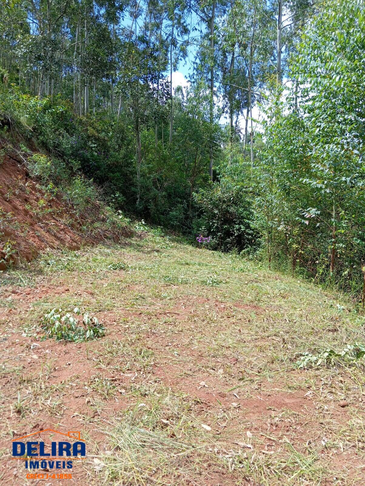 Chácara, 2 quartos, 1000 m² - Foto 9