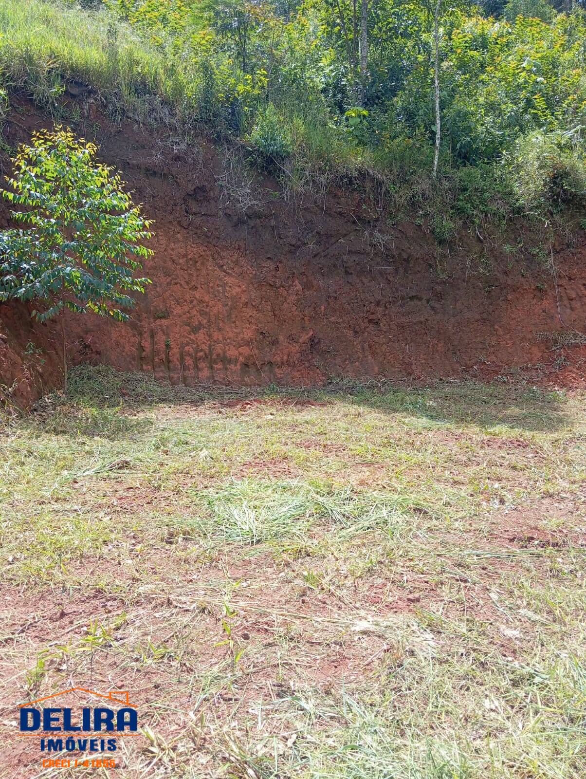 Chácara, 2 quartos, 1000 m² - Foto 12