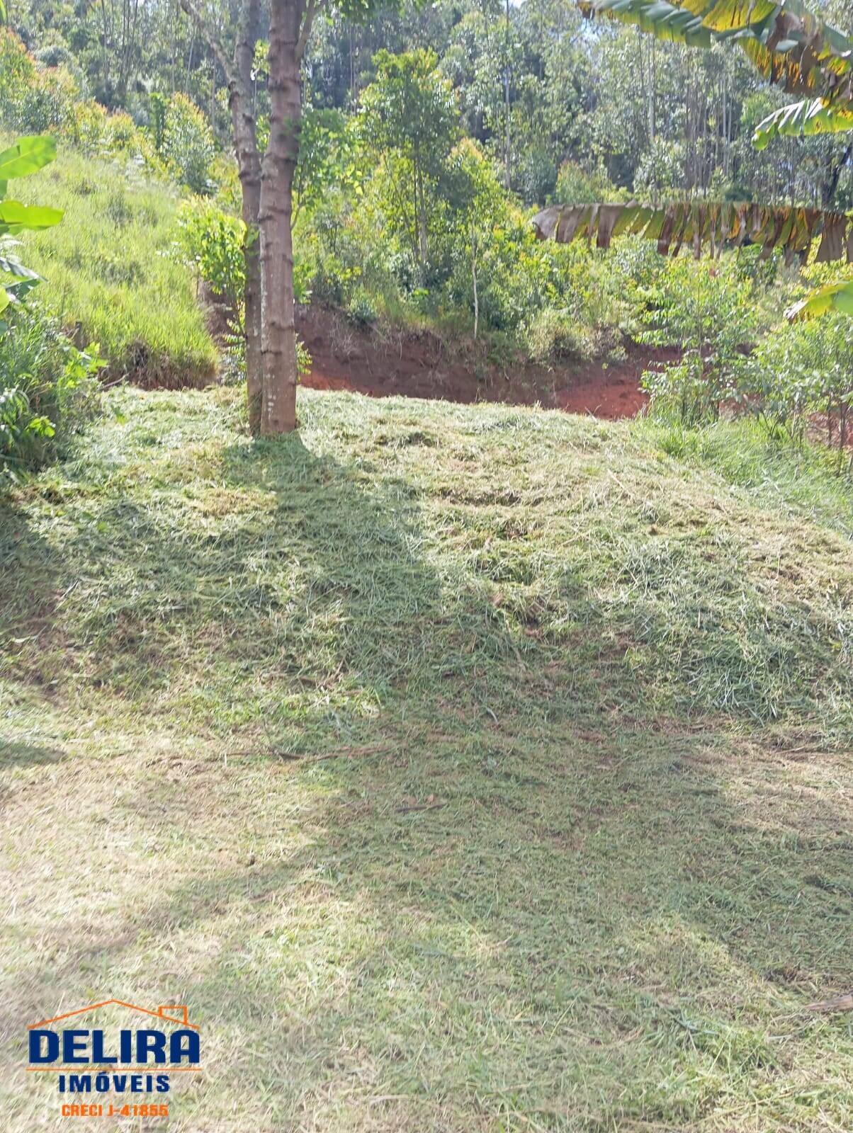 Chácara, 2 quartos, 1000 m² - Foto 11