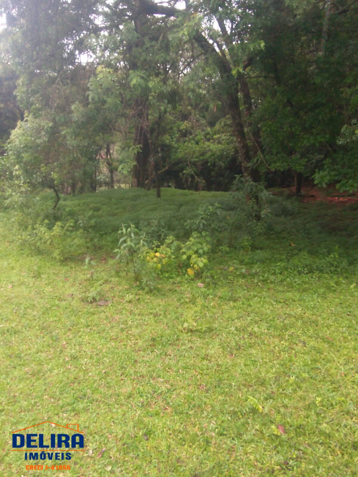 Sítio, 1 quarto, 4 hectares - Foto 12