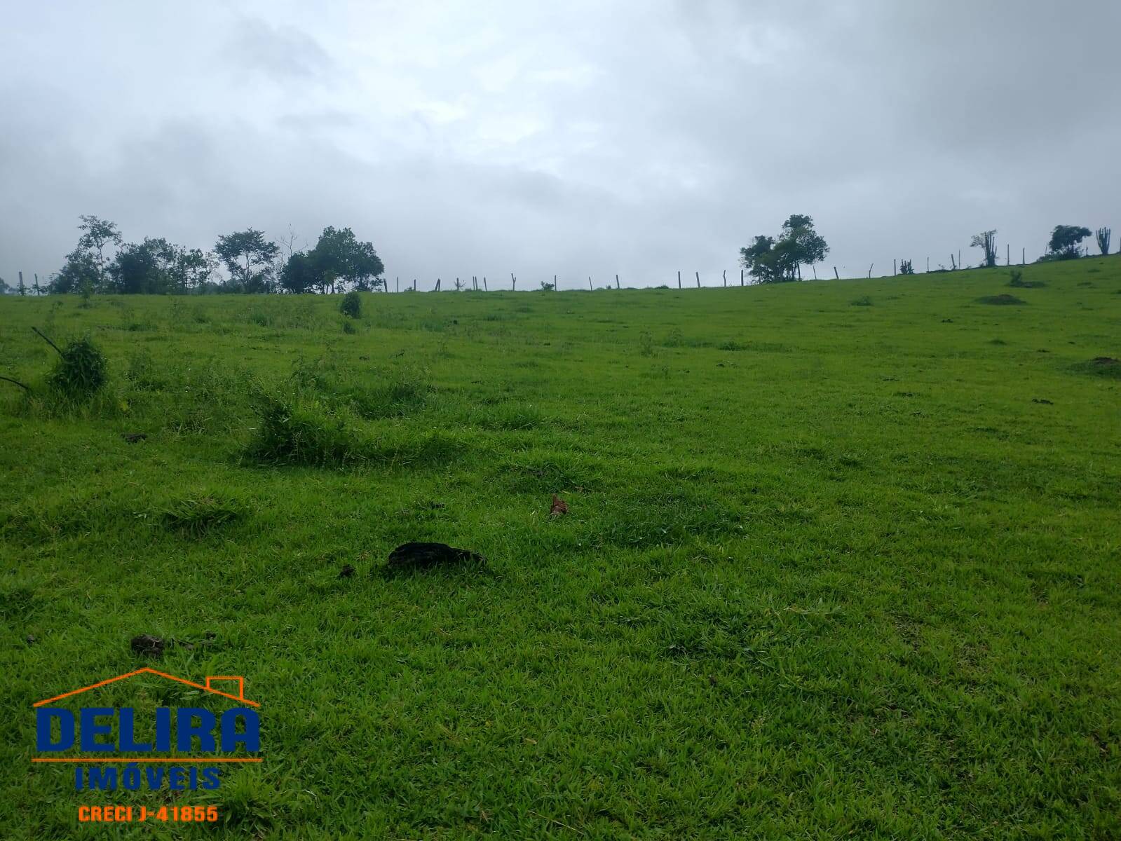 Sítio, 1 quarto, 4 hectares - Foto 16