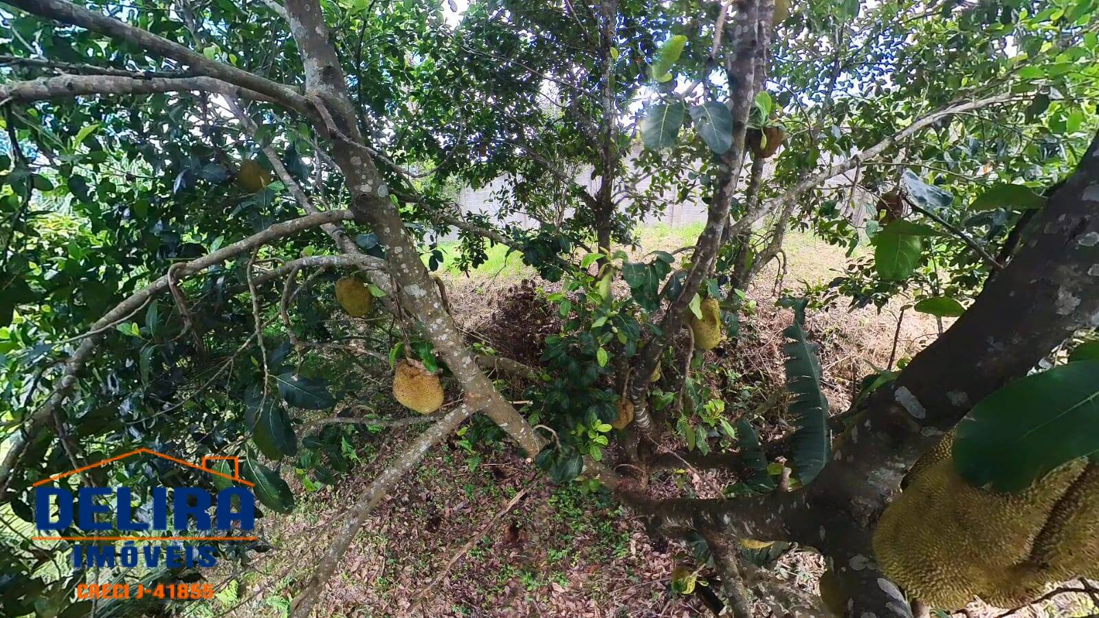 Chácara, 4 quartos, 2663 m² - Foto 20