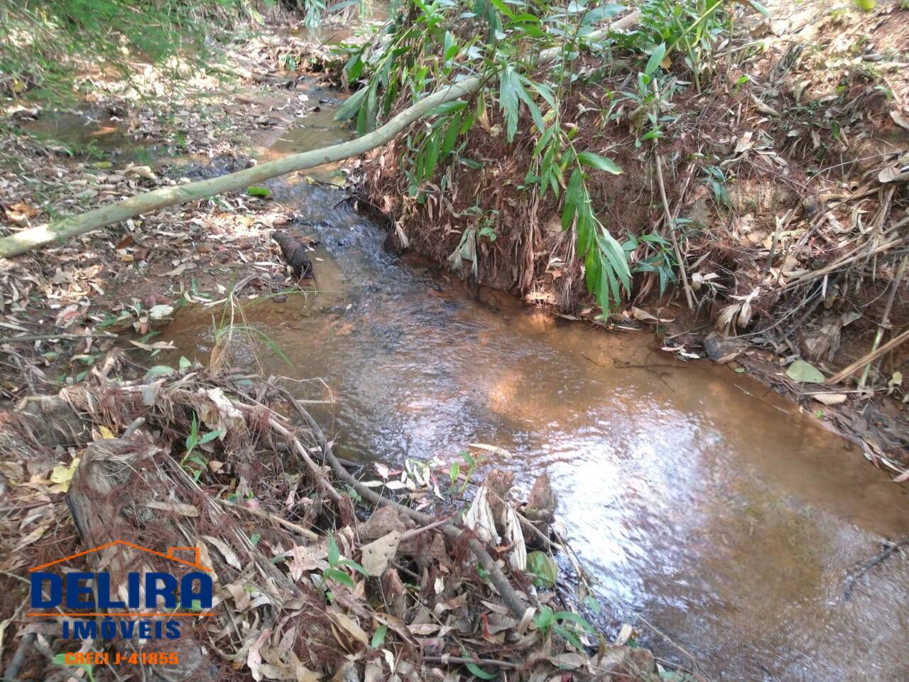 Chácara, 2 quartos, 8000 m² - Foto 9