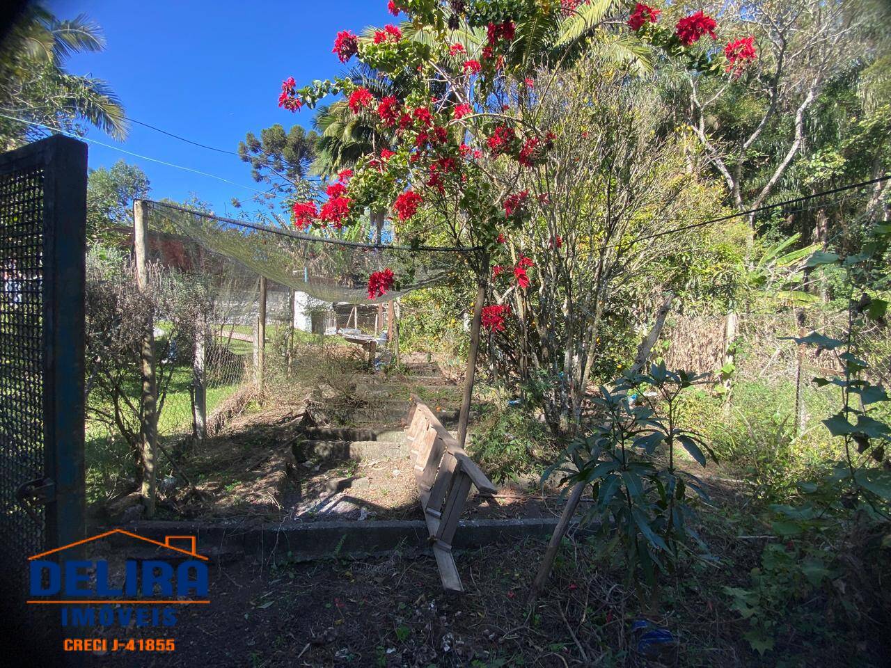 Chácara, 4 quartos, 980 m² - Foto 11